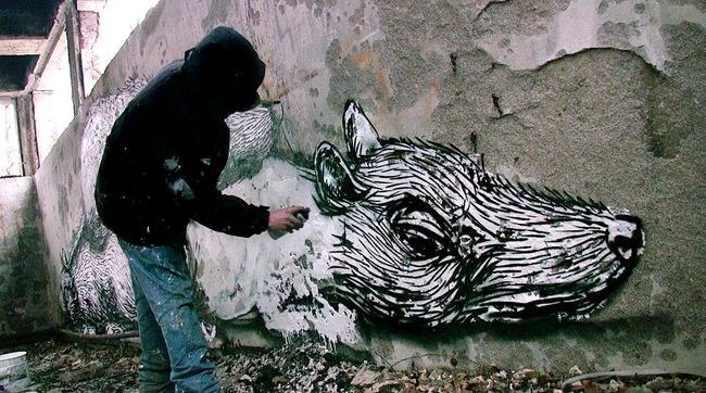 Video: Graffiti Show | Roa en México - 2011