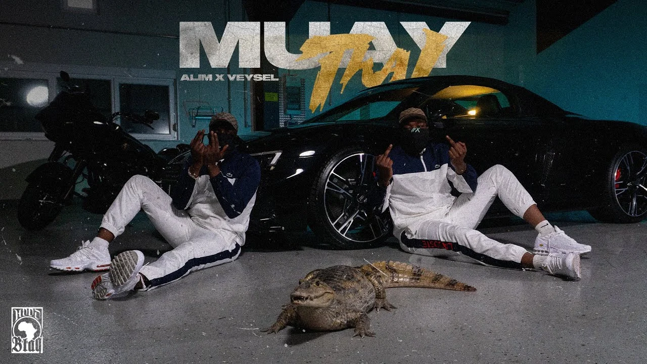 Video: Alim & Veysel | Muay thai