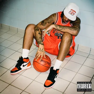 Portada de Flu Game