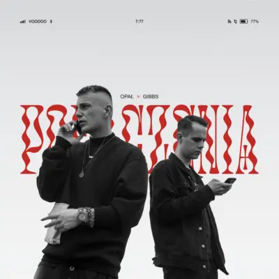 Portada de Połączenia